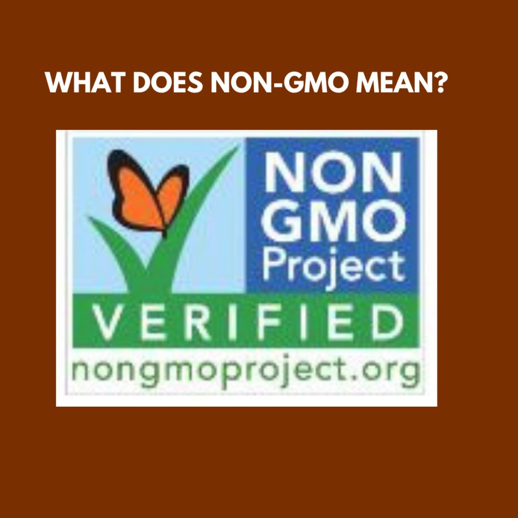 Non-GMO Project Verified logo featured in an educational article explaining what the Non-GMO label means.
